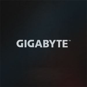 Большое поступление Gigabyte