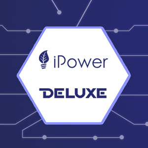 Широкий ассортимент товаров iPower и Deluxe по лучшим ценам