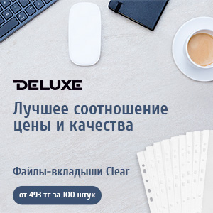 Выгодные цены на файлы-вкладыши и папки-регистраторы от Deluxe